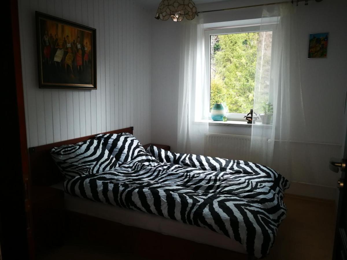 Szczyrk Mountainski Apartament 外观 照片
